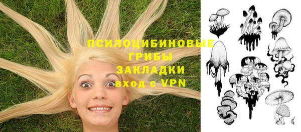 твердый Зерноград